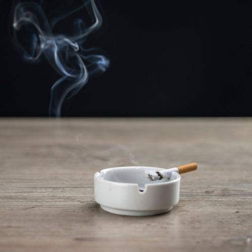 Can I Foster If I Or Anyone In The House Smoke?