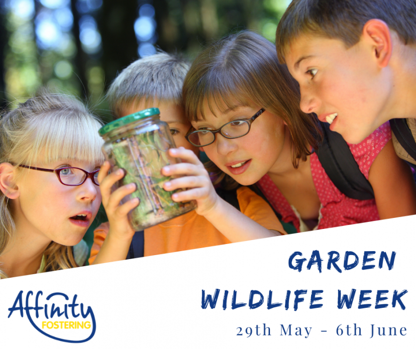 Garden Wildlife Week