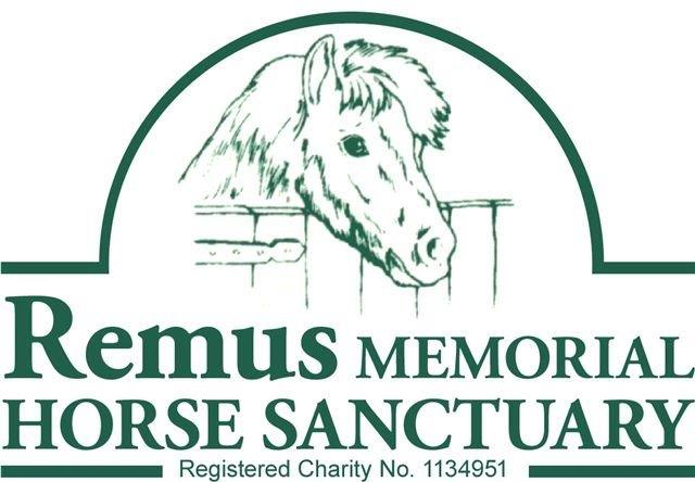 Remus Horse Sancturary